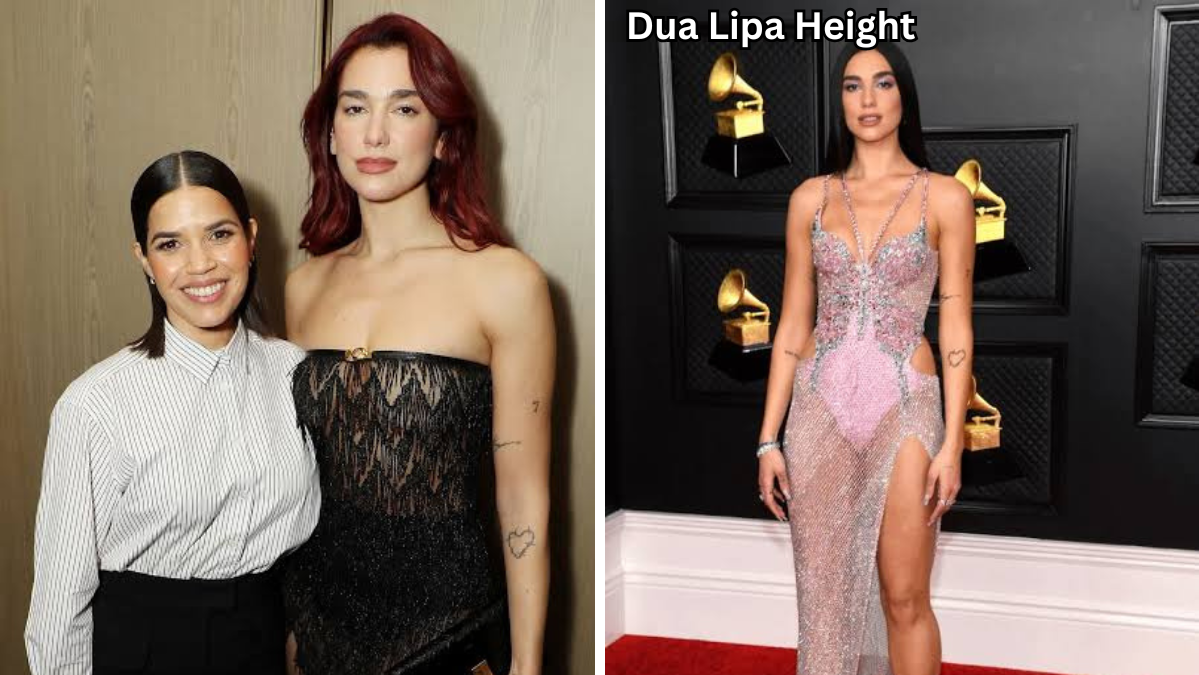 Dua Lipa Height