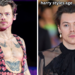 harry styles age